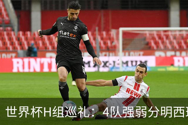 世界杯H组巡礼：4队强弱分明西班牙冲冠 佛得角首次亮相